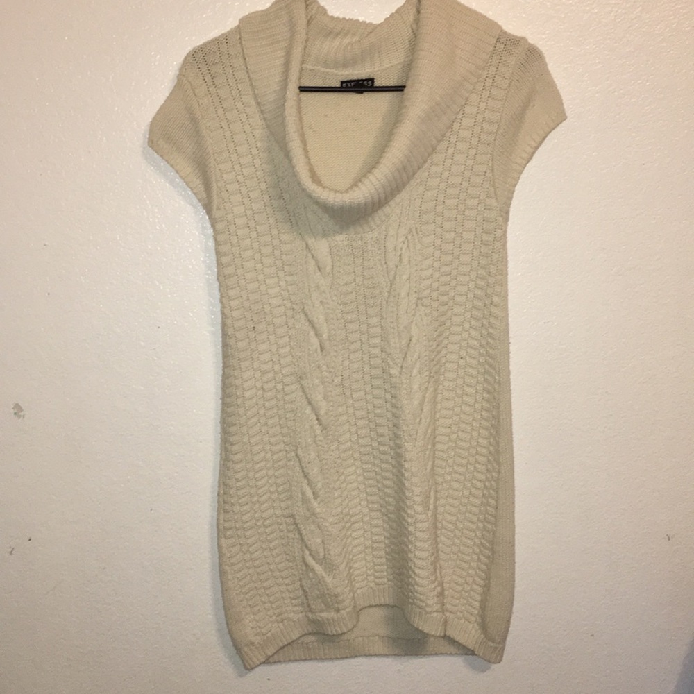 Express Turtleneck dress